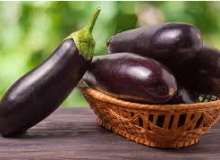آغاز عملیات کاشت بادمجان در ۸۷۰۰ هکتار از اراضی زراعی هرمزگان