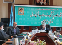 وضعیت تحصیلی دانشجویان شاهد و ایثارگر در تراز با سایر دانشجویان است