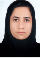 سبک زندگی ایرانی-اسلامی