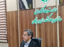 ۳۵ هزار هکتار از اراضی هرمزگان زیر کشت مرکبات است