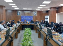 بررسی نقش رسانه در تبیین و اقناع جوانی جمعیت