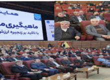 هرمزگان پیشرو در افزایش بهره برداری و ارزش افزوده تون ماهیان