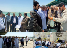 بندر صیادی کنگ الگوی خوبی از ارائه خدمات بندری به صیادان است/بندر صیادی کنگ بزرگترین بندر صیادی کشوراست